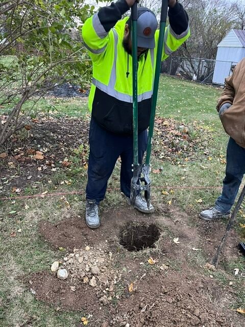 The contractors digging holes and building fences
